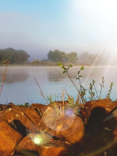 Ferienwohnung An Der Elbe Bleckede Esterno foto